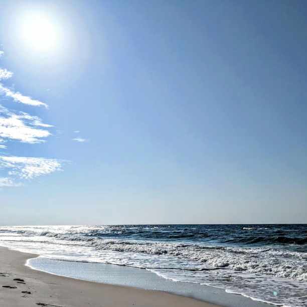costa golfo mexico alabama