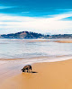 Negocio Agate Beach State Recreation Site