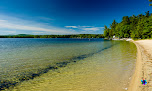 Negocio Allen Albee Beach