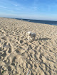 Negocio Anchorage Beach