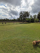 Negocio Apollo Beach Dog Park