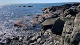 Negocio Arundel Beach