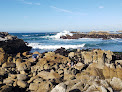 Negocio Asilomar State Beach