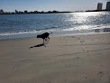 Negocio Atlantic City Beach