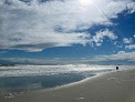 Negocio Bald Beach