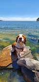 Negocio Barbara Pine Memorial Beach