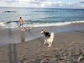 Negocio Bark Park Dog Beach