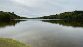 Negocio Barkcamp State Park