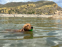 Negocio Bartlett Lake