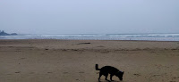 Negocio Bastendorff Beach