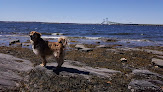 Negocio Battery Park