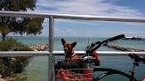 Negocio Bayfront Park