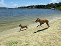 Negocio Bayview Dog Beach