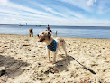 Negocio Beach Haven Doggy Bay