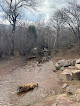 Negocio Bear Creek Dog Park