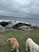 Negocio Beavertail State Park
