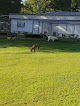Negocio Beech Grove Stable And Kennels