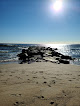 Negocio Belmar's Natural Beach Area