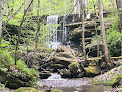 Negocio Big Branch Trail