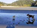 Negocio Big River Beach At Mendocino Headlands State Park