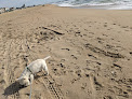 Negocio Boardwalk Beach
