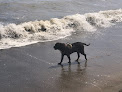 Negocio Bolinas Beach