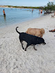 Negocio Bonita Springs Dog Park