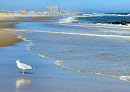 Negocio Bradley Beach