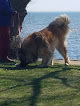 Negocio Bradley Point Park