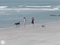 Negocio Brigantine Seawall