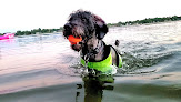 Negocio Brittingham Beach