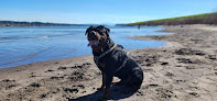 Negocio Broughton Beach Park