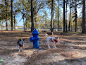 Negocio Burns Park Dog Park