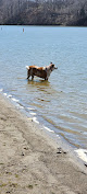 Negocio Burr Oak State Park Beach