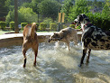 Negocio Cahaba Beach Dog Park