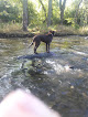 Negocio Caledonia Dog Park, Dog Beach Area 1