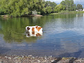 Negocio Canine Beach At Bozeman Pond