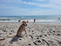 Negocio Canova Beach Park