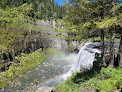 Negocio Caribou-Targhee National Forest