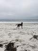 Negocio Carmel Beach