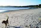 Negocio Carmel Beach