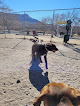 Negocio Carole Wheeler Dog Park