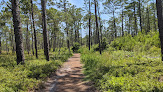 Negocio Carolina Beach State Park