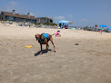 Negocio Carpinteria Dog Beach