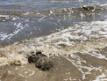 Negocio Caswell Beach