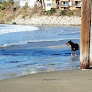 Negocio Cayucos State Beach