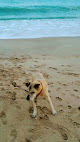 Negocio Charlestown Beach