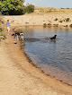 Negocio Chatfield Dog Park