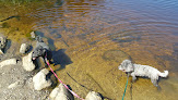 Negocio Chatfield Hollow State Park