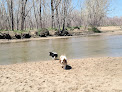 Negocio Cherry Creek Dog Off Leash Area (Dola)